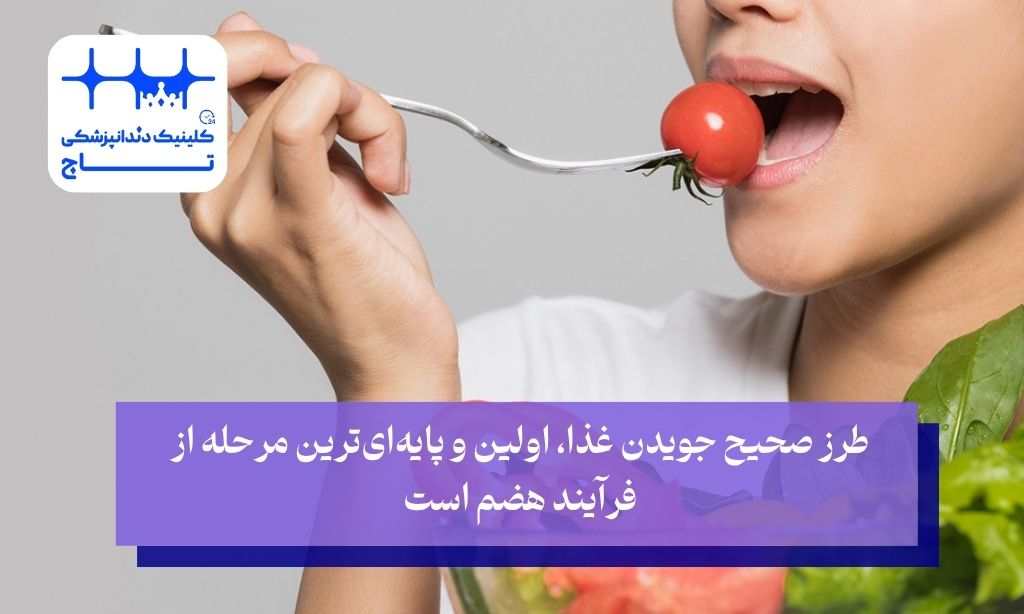 تمرکز بر فرآیند جویدن غذا