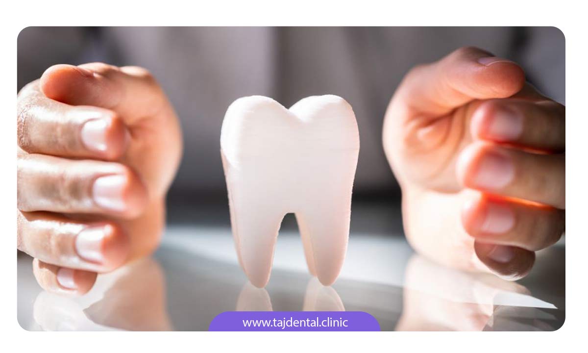 اجزای مختلف دندان